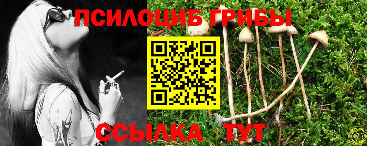 Псилоцибиновые грибы Magic Shrooms Урай